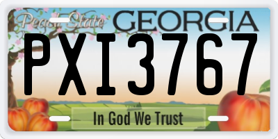 GA license plate PXI3767