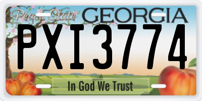GA license plate PXI3774
