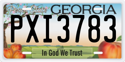 GA license plate PXI3783