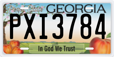 GA license plate PXI3784