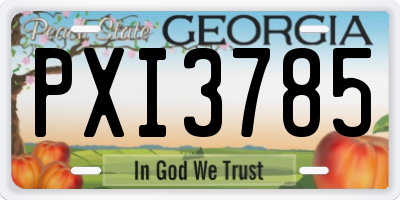GA license plate PXI3785