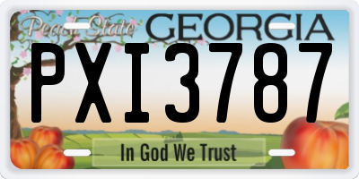 GA license plate PXI3787
