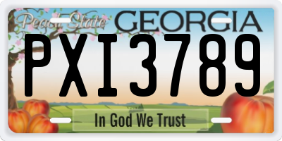 GA license plate PXI3789