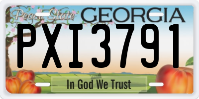 GA license plate PXI3791