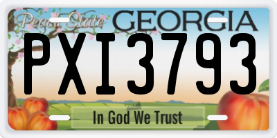 GA license plate PXI3793