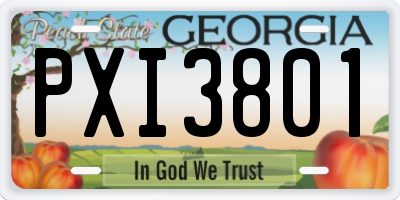 GA license plate PXI3801