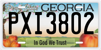 GA license plate PXI3802