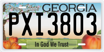 GA license plate PXI3803