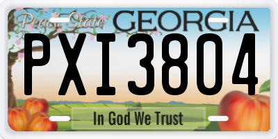 GA license plate PXI3804
