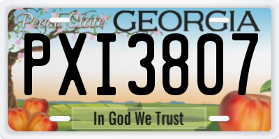 GA license plate PXI3807