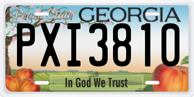 GA license plate PXI3810