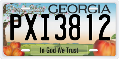 GA license plate PXI3812
