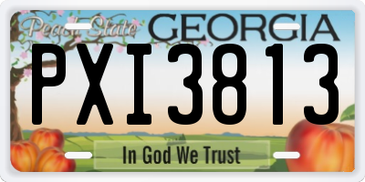 GA license plate PXI3813
