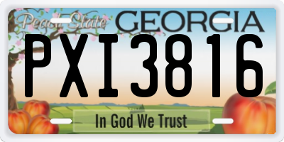 GA license plate PXI3816
