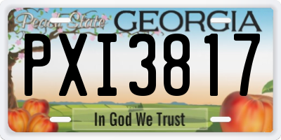 GA license plate PXI3817