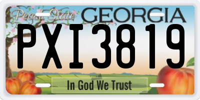 GA license plate PXI3819