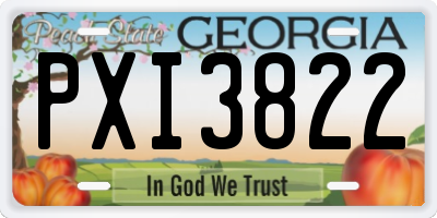 GA license plate PXI3822