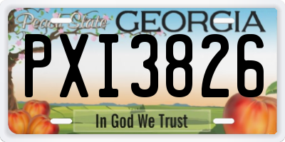 GA license plate PXI3826