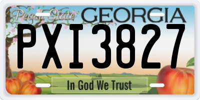 GA license plate PXI3827