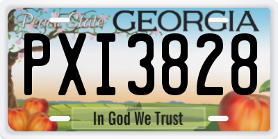 GA license plate PXI3828