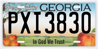 GA license plate PXI3830