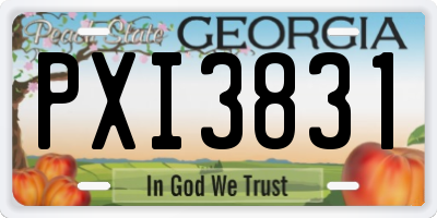 GA license plate PXI3831