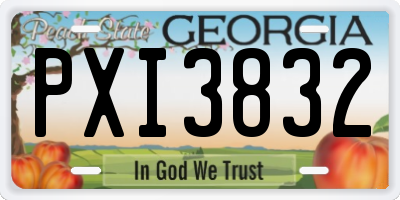 GA license plate PXI3832
