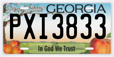 GA license plate PXI3833