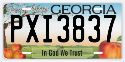 GA license plate PXI3837