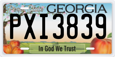 GA license plate PXI3839