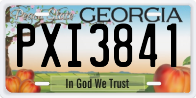GA license plate PXI3841