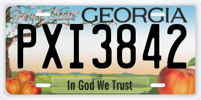 GA license plate PXI3842