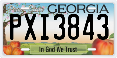 GA license plate PXI3843