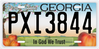 GA license plate PXI3844