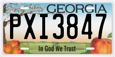 GA license plate PXI3847