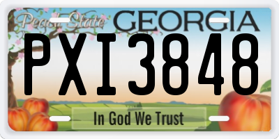 GA license plate PXI3848