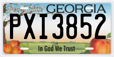 GA license plate PXI3852