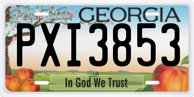 GA license plate PXI3853