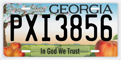 GA license plate PXI3856