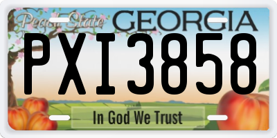 GA license plate PXI3858