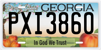 GA license plate PXI3860