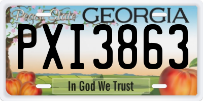 GA license plate PXI3863