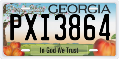 GA license plate PXI3864