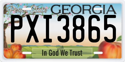 GA license plate PXI3865