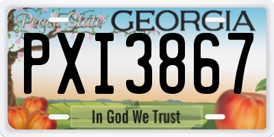 GA license plate PXI3867
