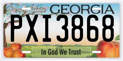 GA license plate PXI3868