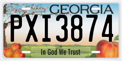 GA license plate PXI3874