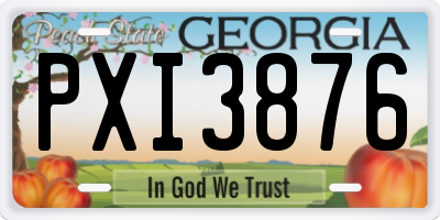GA license plate PXI3876