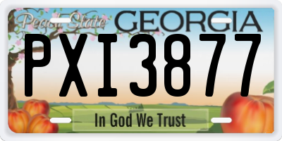 GA license plate PXI3877