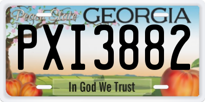GA license plate PXI3882